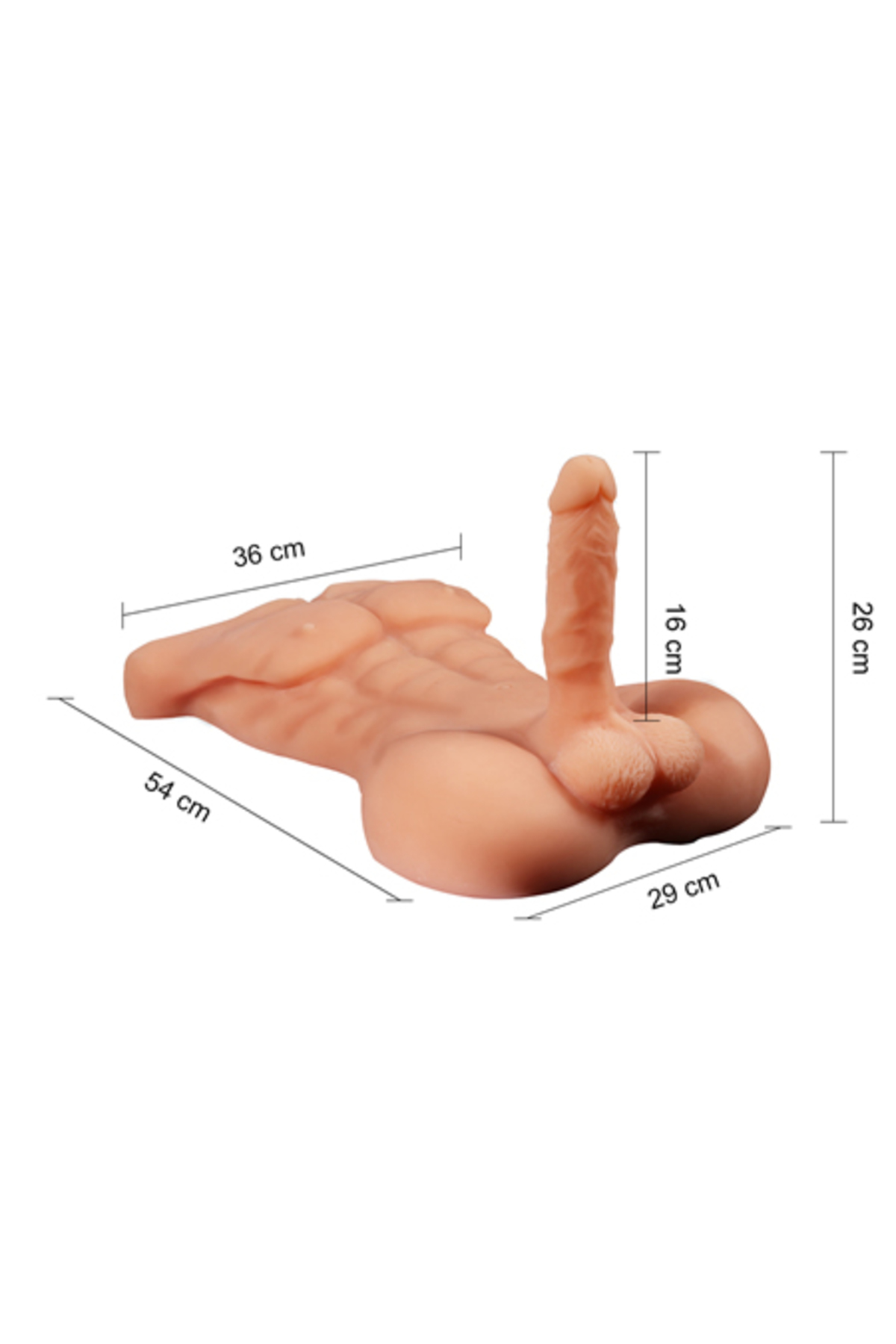 LOVETOY Gerçek Ölçülerde Realistik Penisli 2 İşlevli Erkek Vücut - Görsel 3