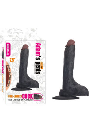 ADAM'S PENİS