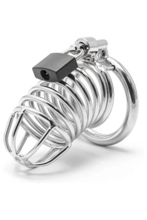 Metal Penis Kilidi Chastity Cock Cage Erkek Bekaret Penis Esaret Kafesi